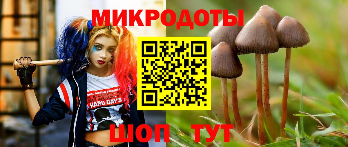 Фрязино  Галлюциногенные грибы Psilocybine cubensis  Вход с VPN 